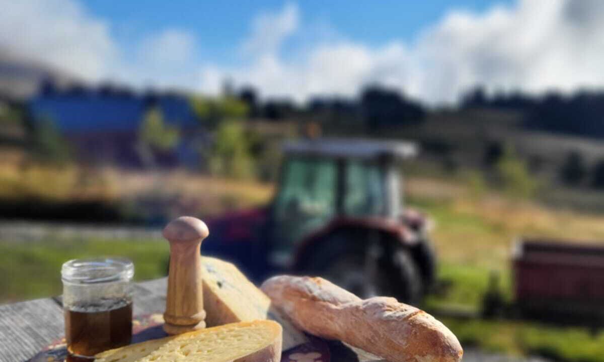 Photo of Others in Le Praz de Lys