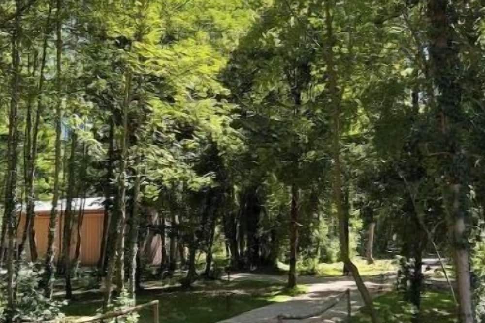 Photo of Outdoor in Coizard-Joches