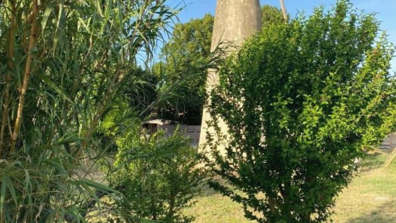 Photo of Outdoor in Roquemaure