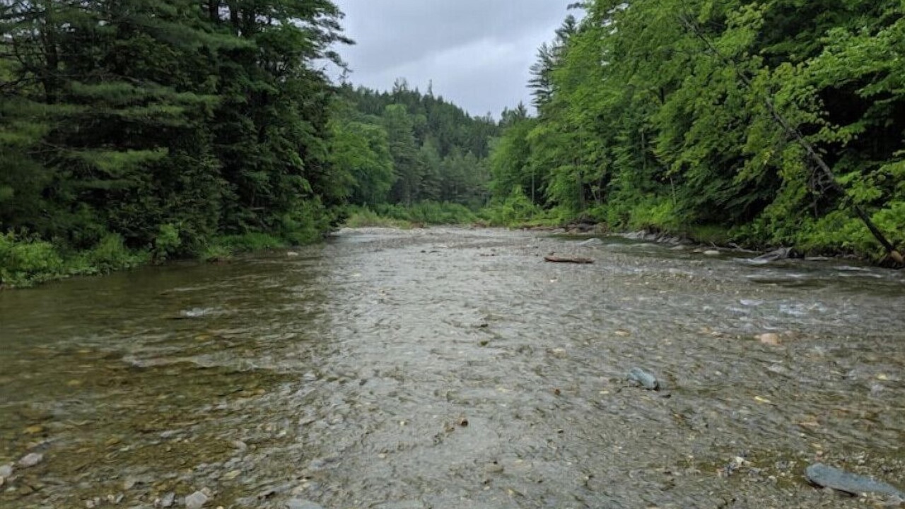 Photo of Outdoor in Stockbridge