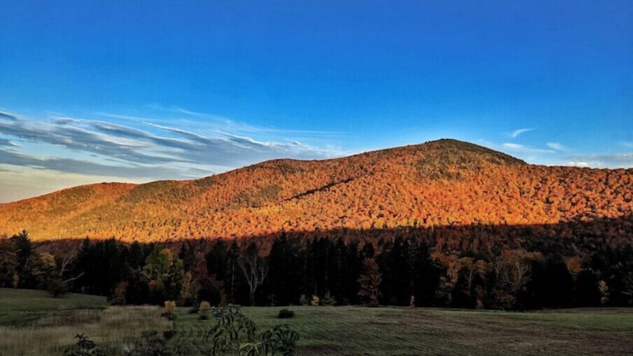 Photo of Others in Stockbridge