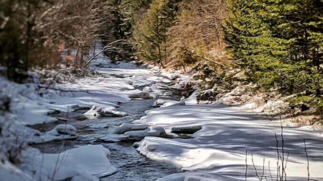 Photo of Others in Stockbridge