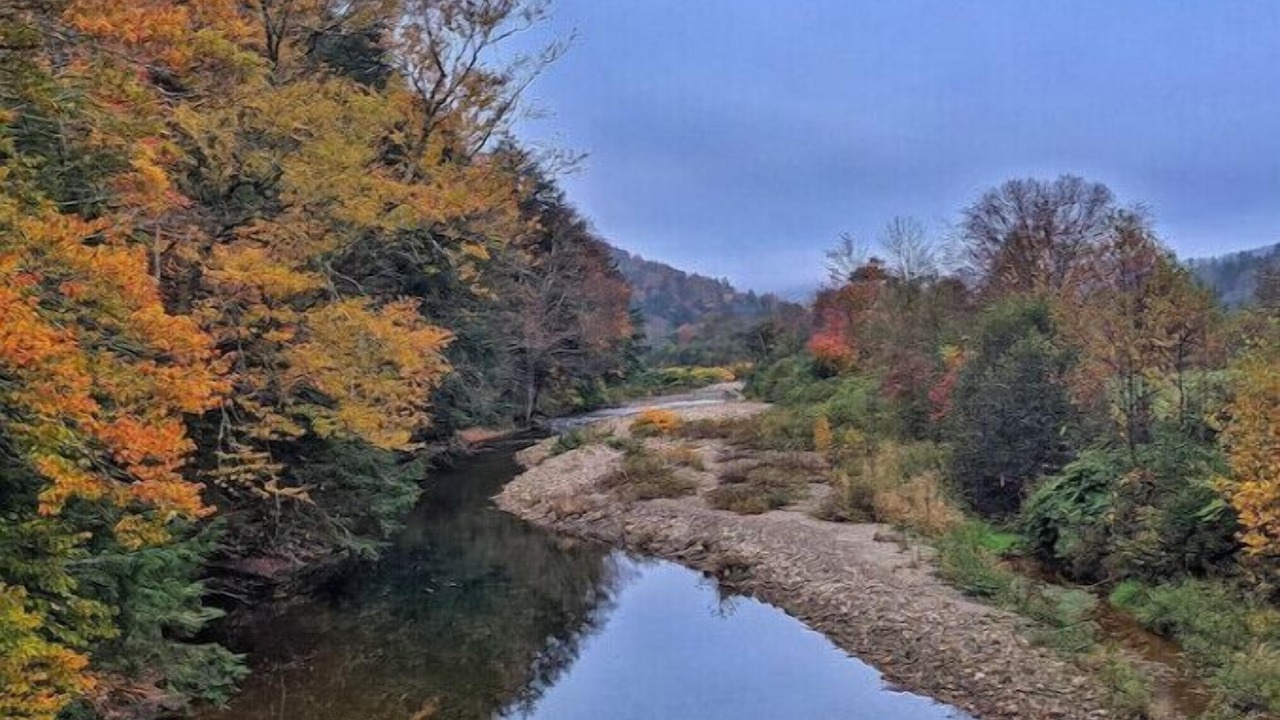 Photo of Others in Stockbridge