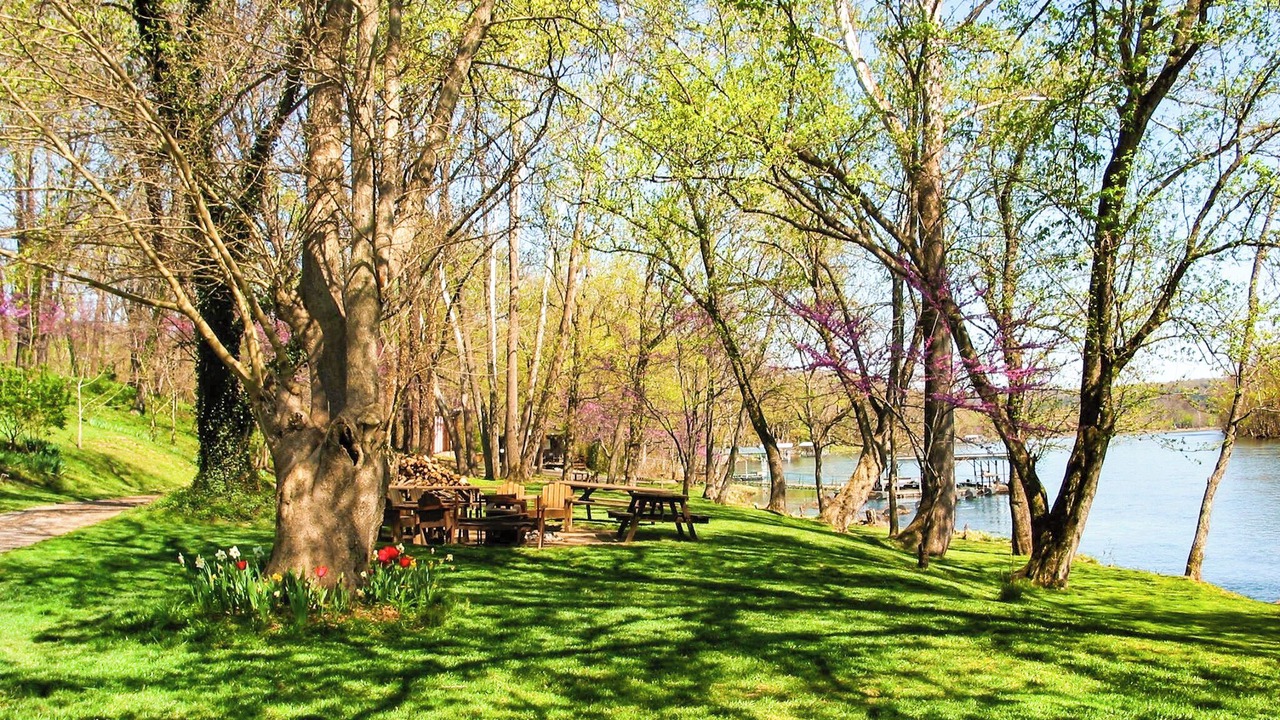 Photo of Outdoor in Cotter