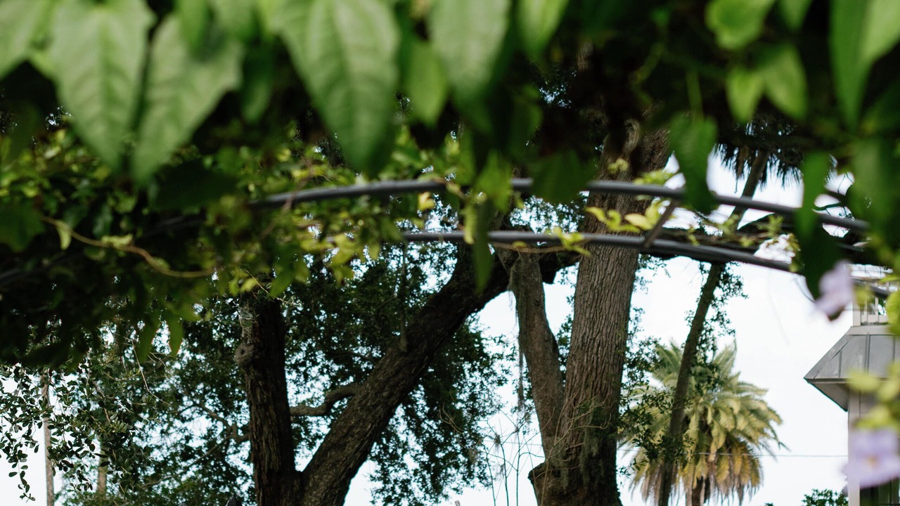 Photo of Outdoor in Historic District