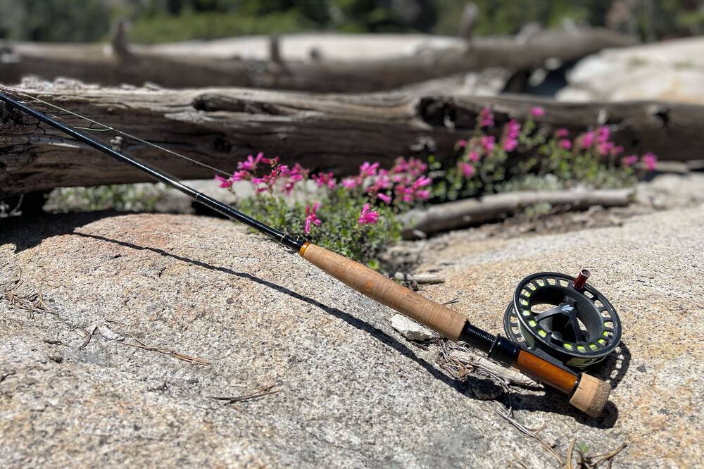 Photo of Outdoor in Pollock Pines