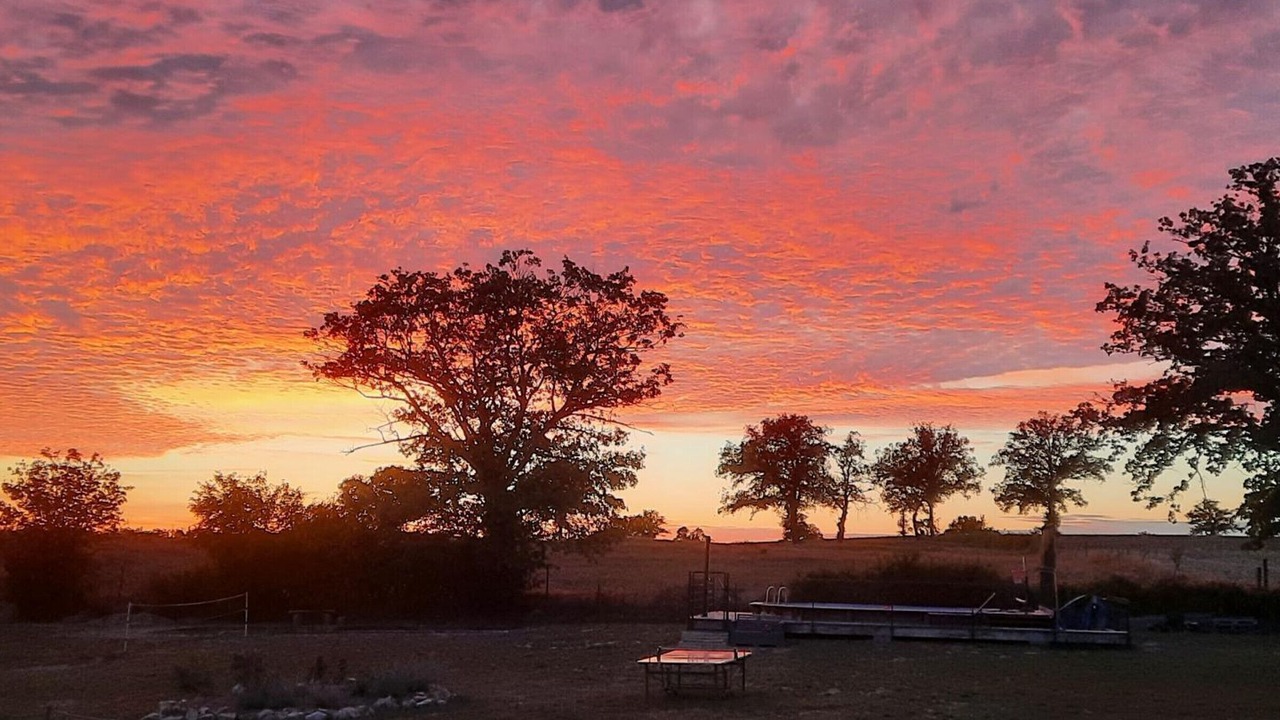 Photo of Others in Blomard