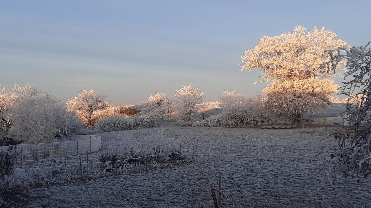 Photo of Others in Blomard