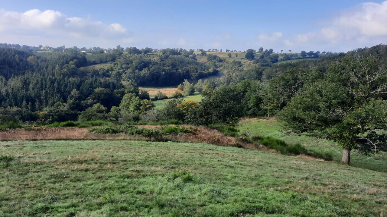 Photo of Others in Blomard