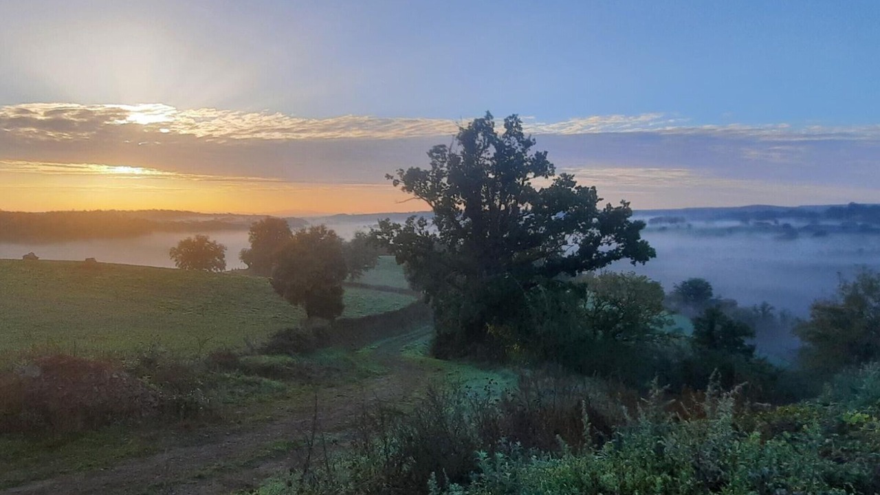 Photo of Others in Blomard