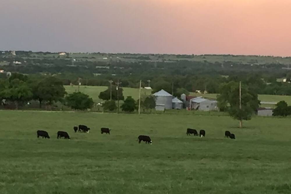 Photo of Others in Weatherford