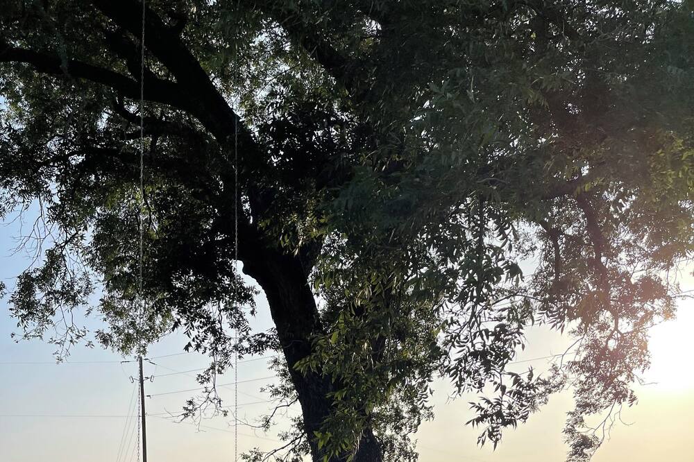 Photo of Others in Weatherford