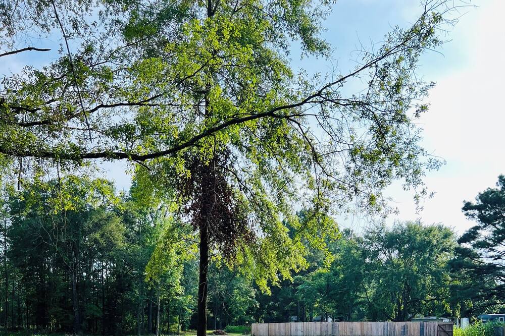 Photo of Outdoor in Grady