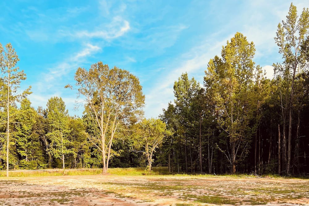 Photo of Outdoor in Grady