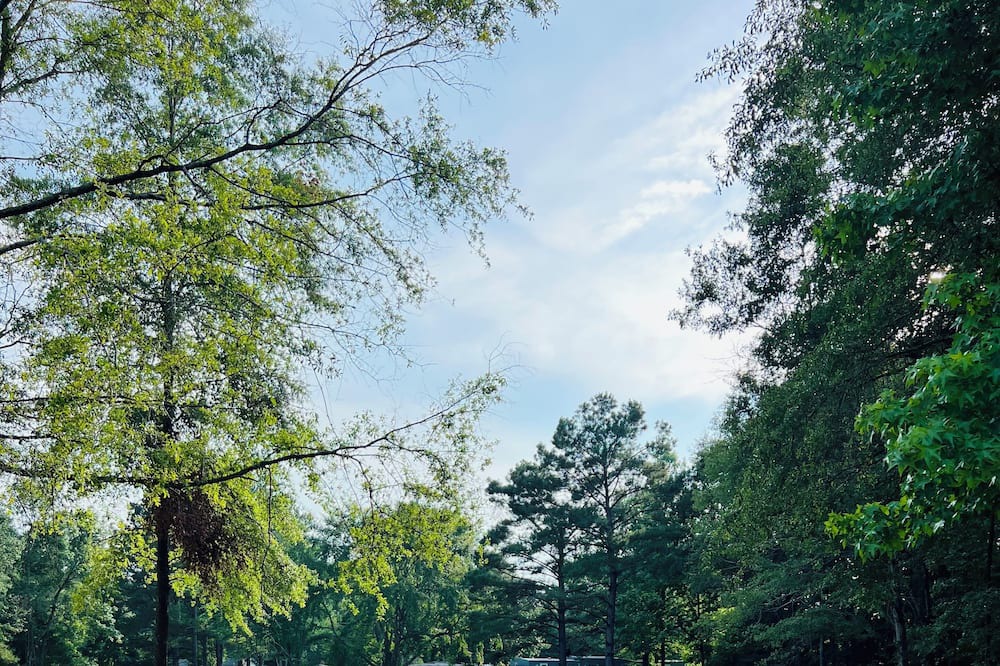 Photo of Outdoor in Grady