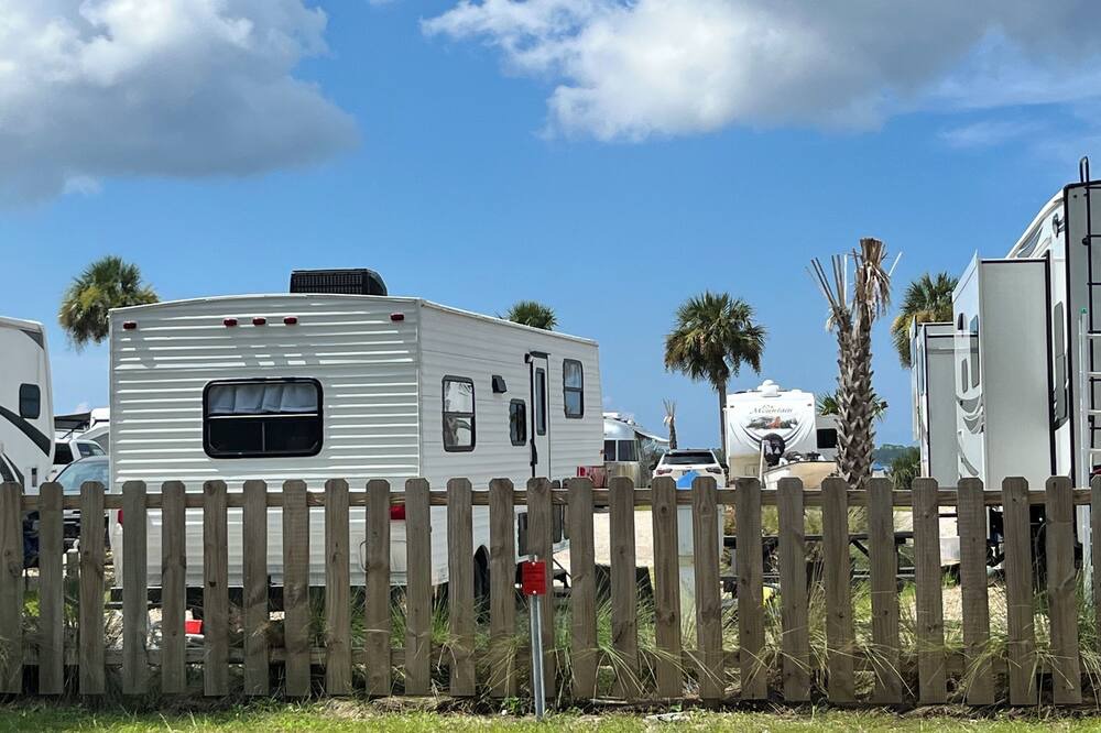 Photo of Others in Ochlockonee Bay