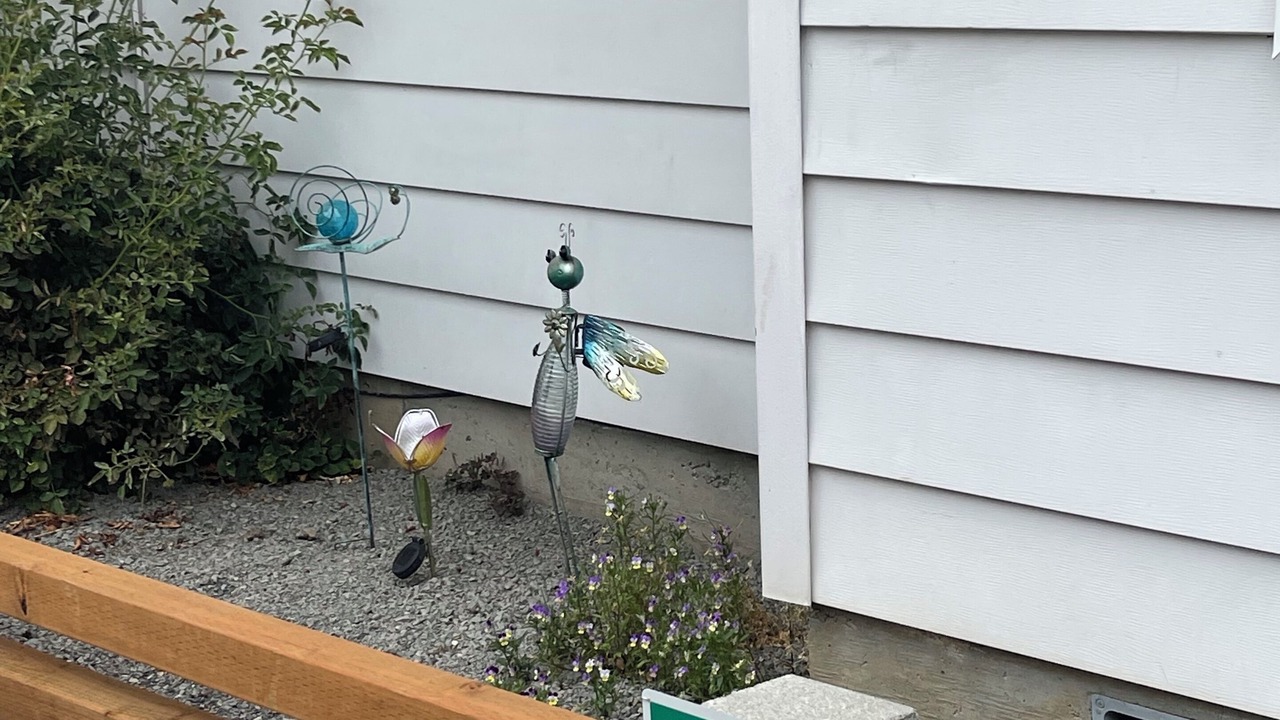 Photo of Outdoor in Felida