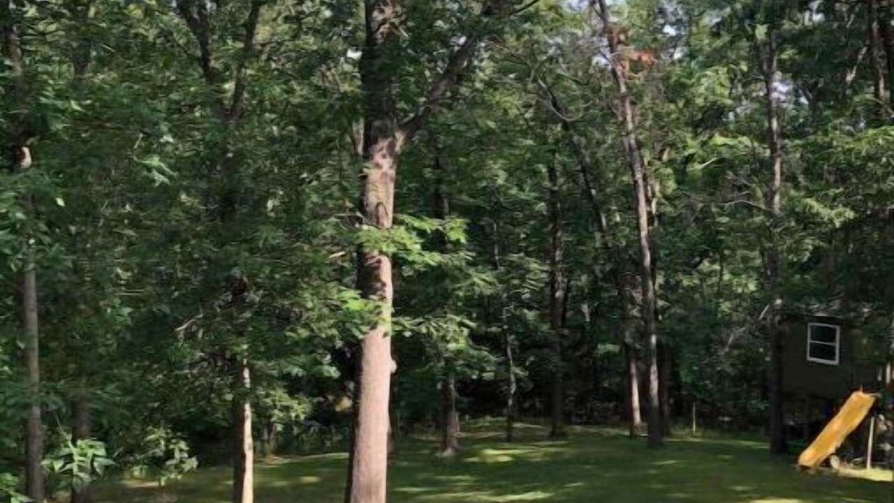 Photo of Outdoor in Ottumwa