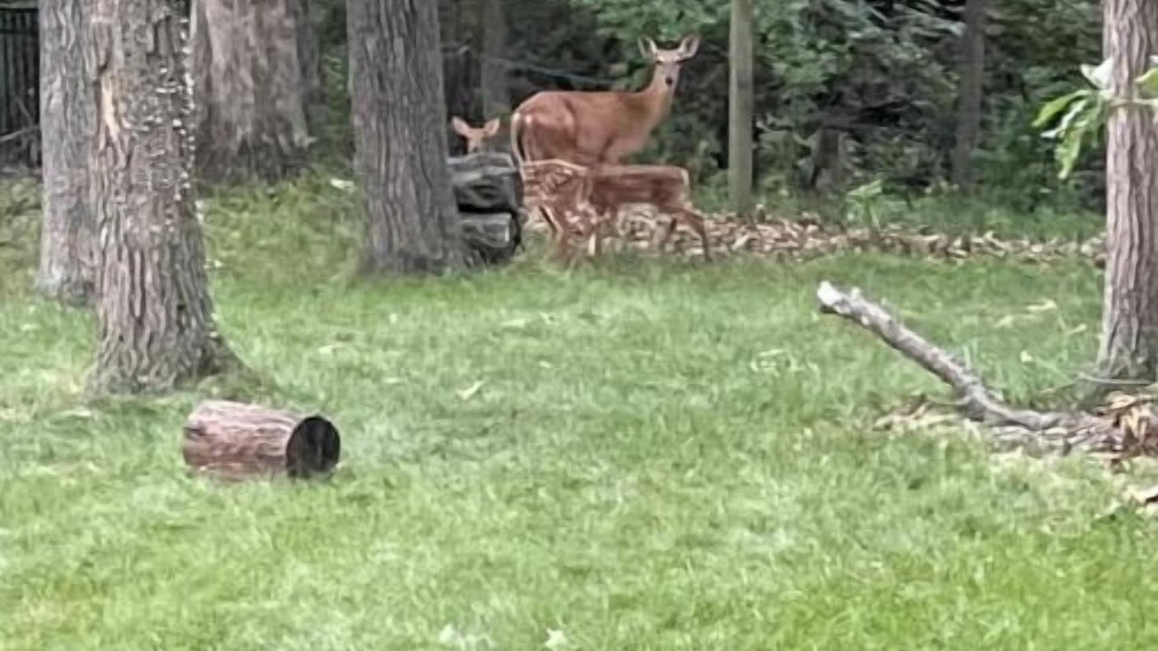 Photo of Outdoor in Ottumwa