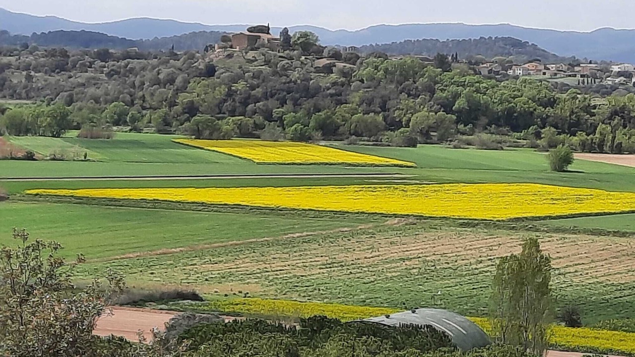 Photo of Others in Gualta