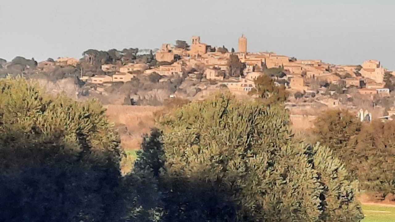Photo of Outdoor in Gualta