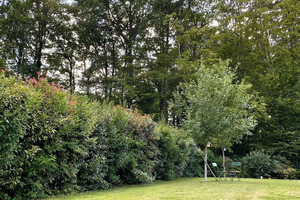 Photo of Outdoor in Levis-Saint-Nom