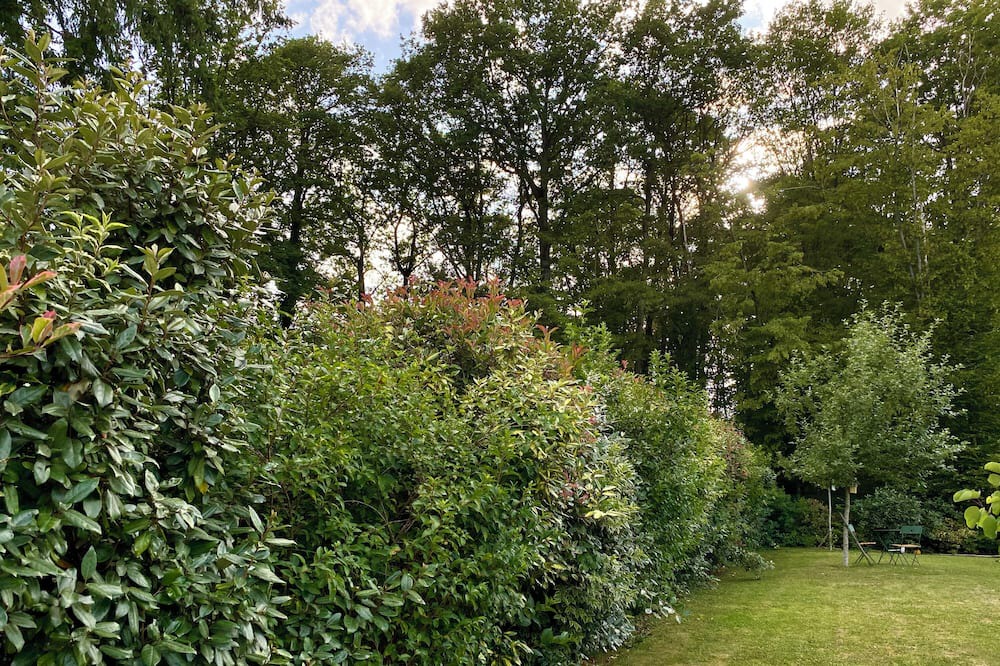 Photo of Outdoor in Levis-Saint-Nom