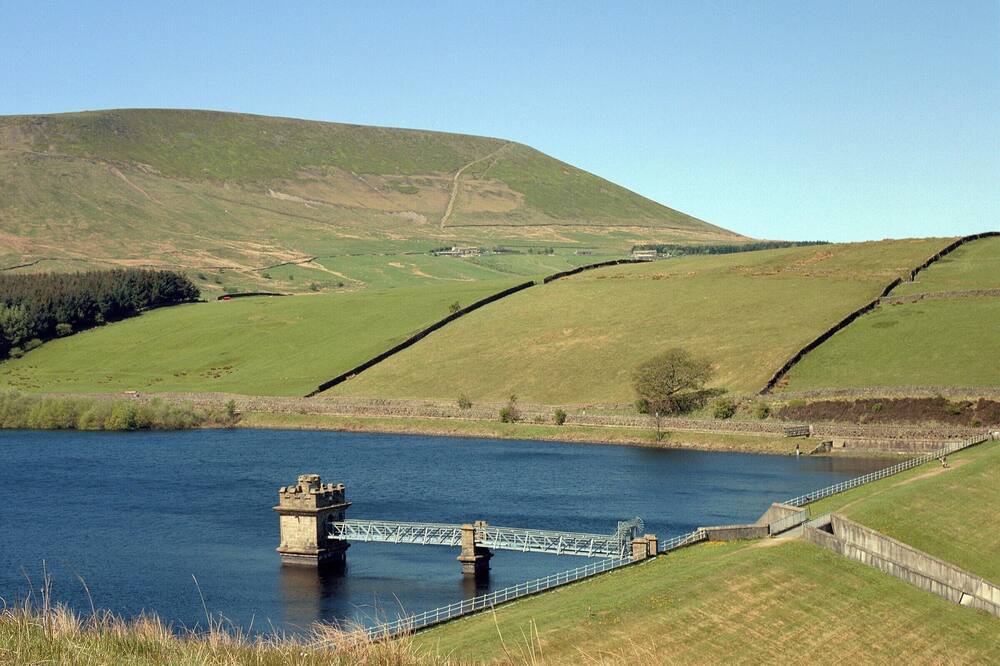 Photo of Others in Nelson