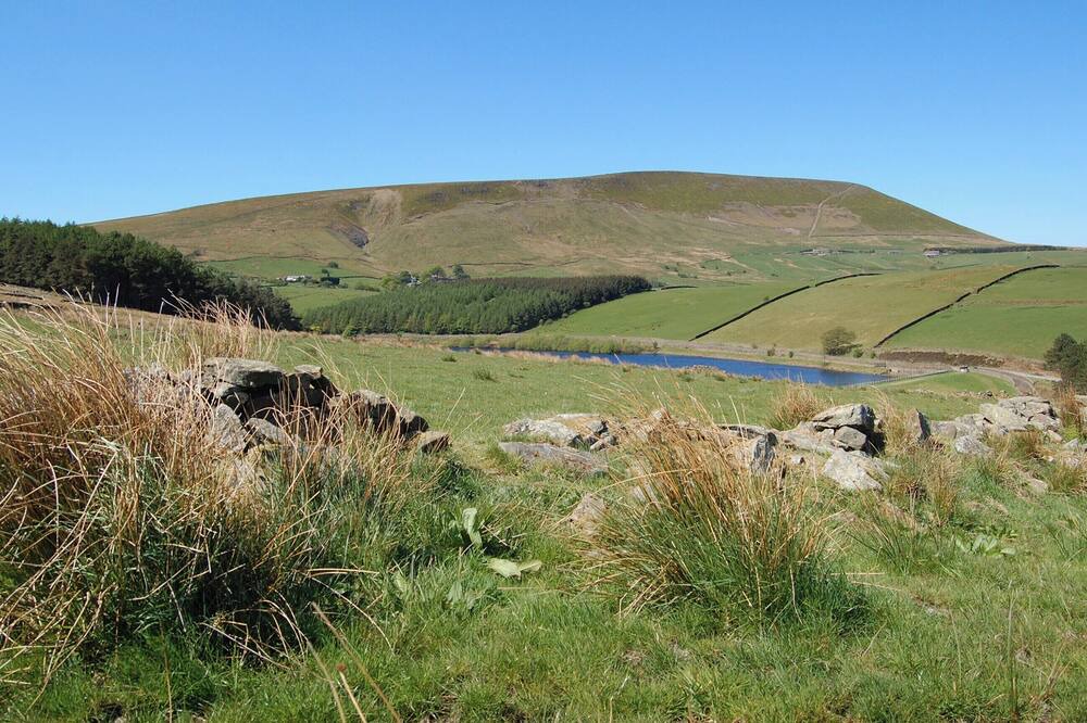 Photo of Outdoor in Nelson