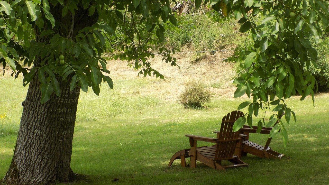 Photo of Outdoor in Festalemps