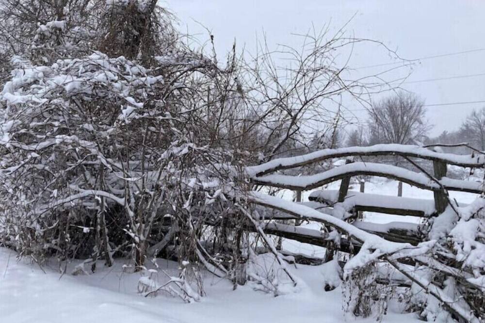 Photo of Outdoor in Horton