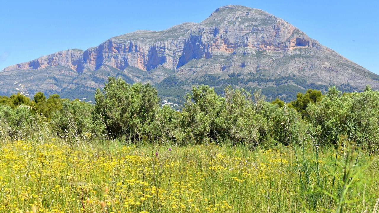 Photo of Outdoor in Cap de la Nau