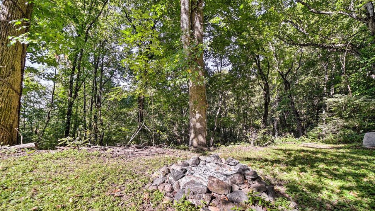 Photo of Outdoor in Sylva