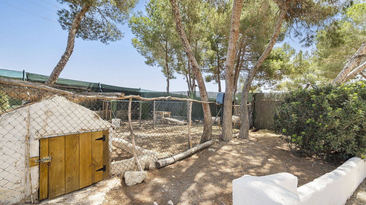 Photo of Outdoor in Pilar de la Horadada
