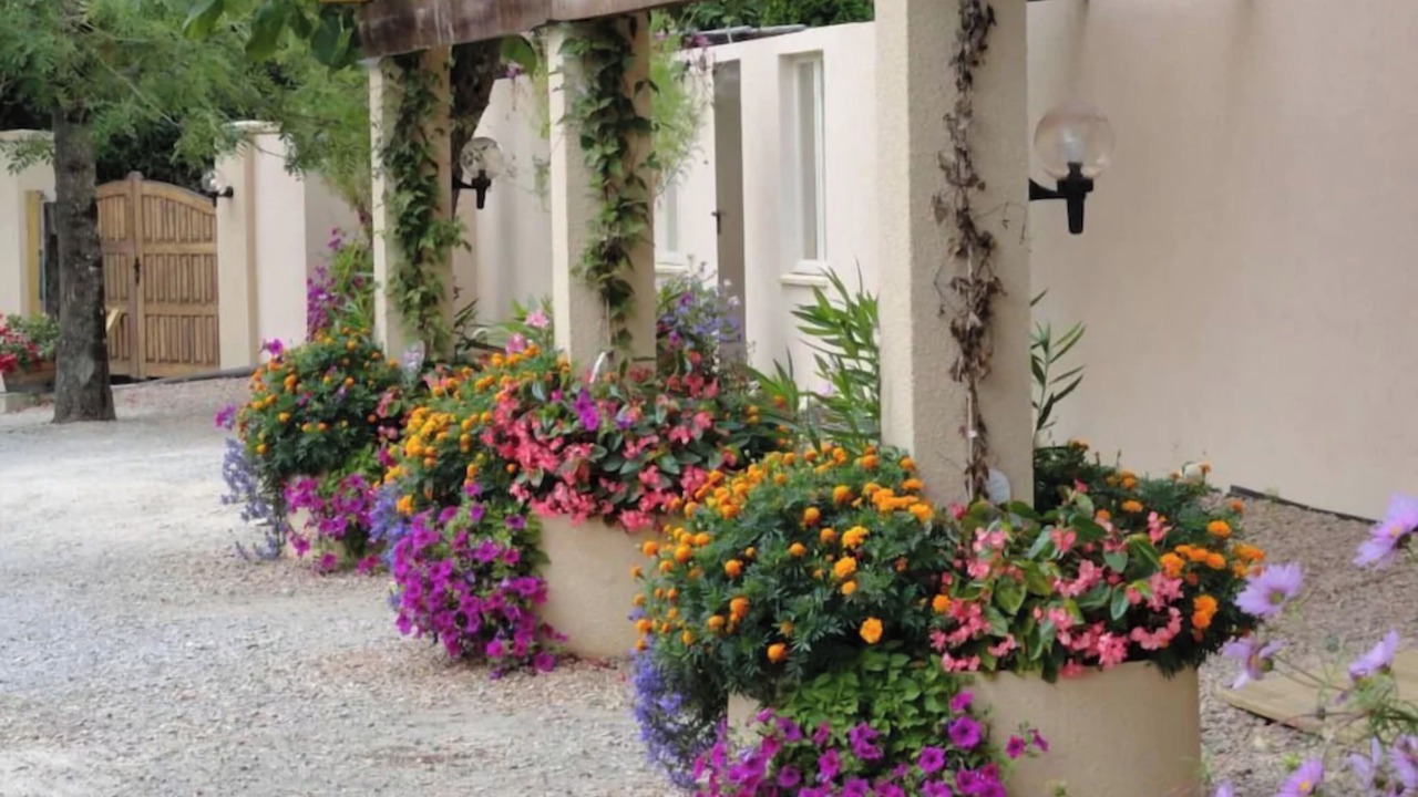 Photo of Outdoor in La Fouillade