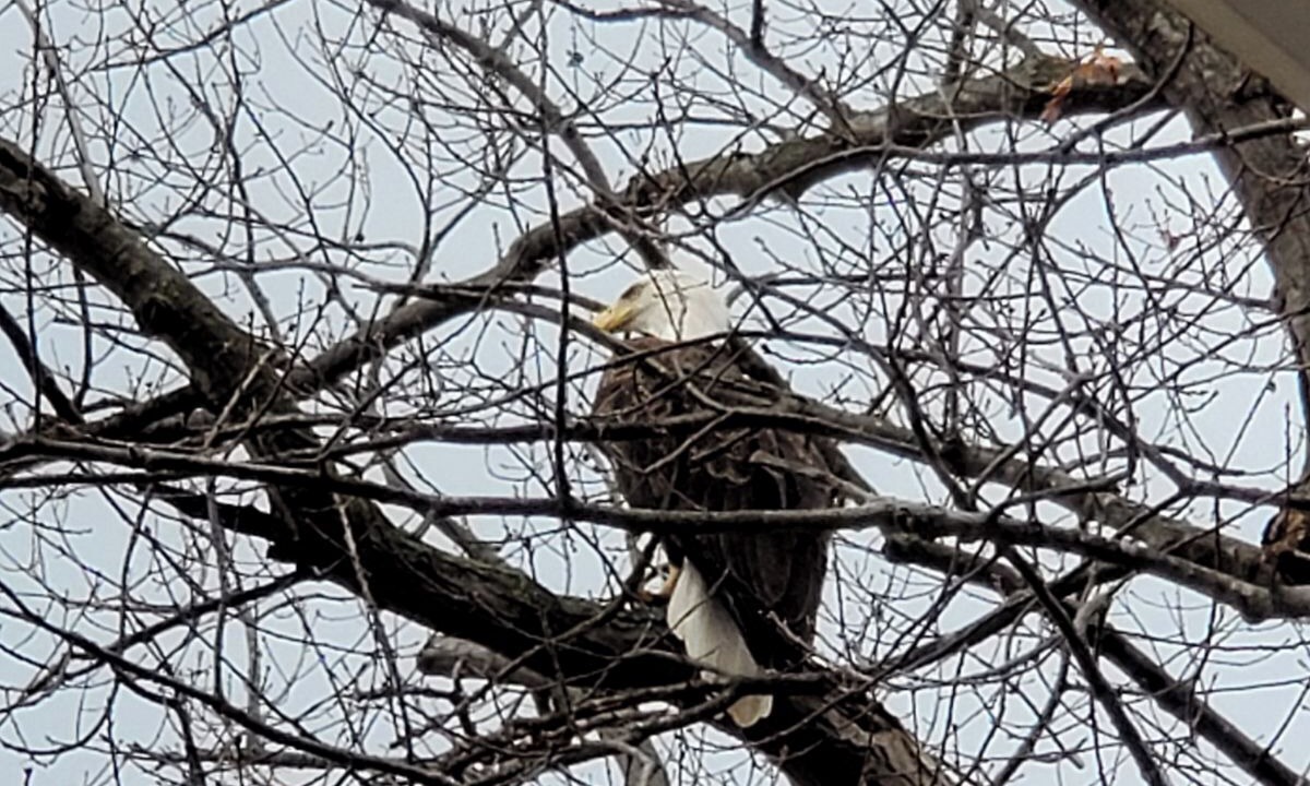 Photo of Outdoor in Caseville