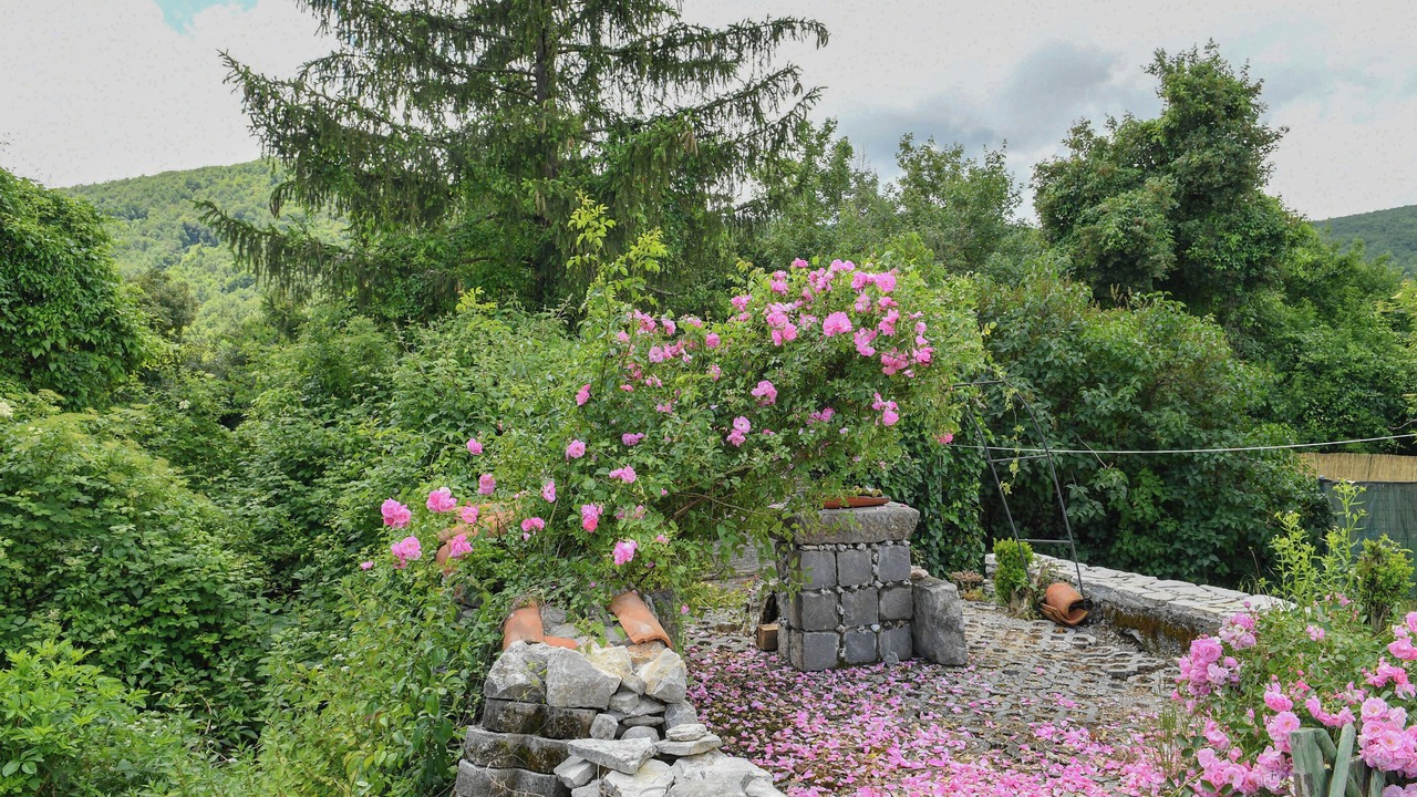Photo of Outdoor in Veli Brgud