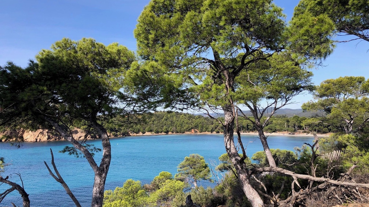 Photo of Outdoor in Le Lavandou