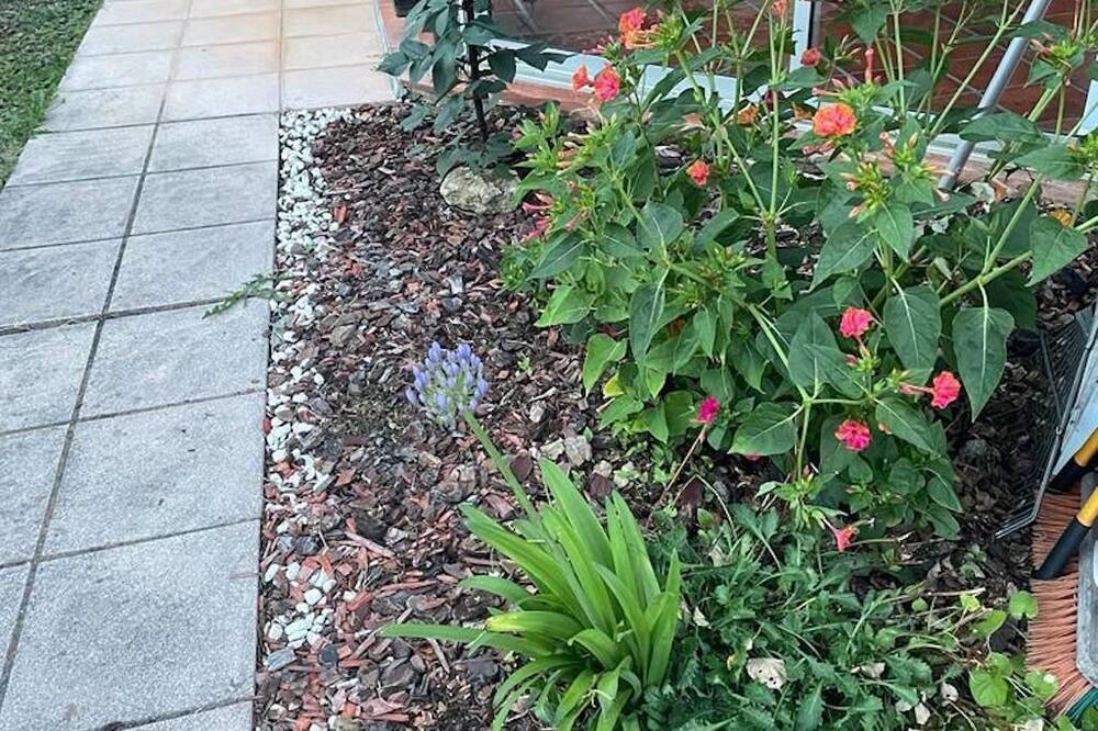 Photo of Outdoor in Saint-Hilaire-de-Lusignan