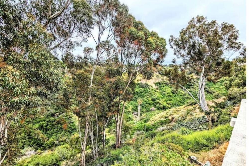 Photo of Outdoor in University Heights
