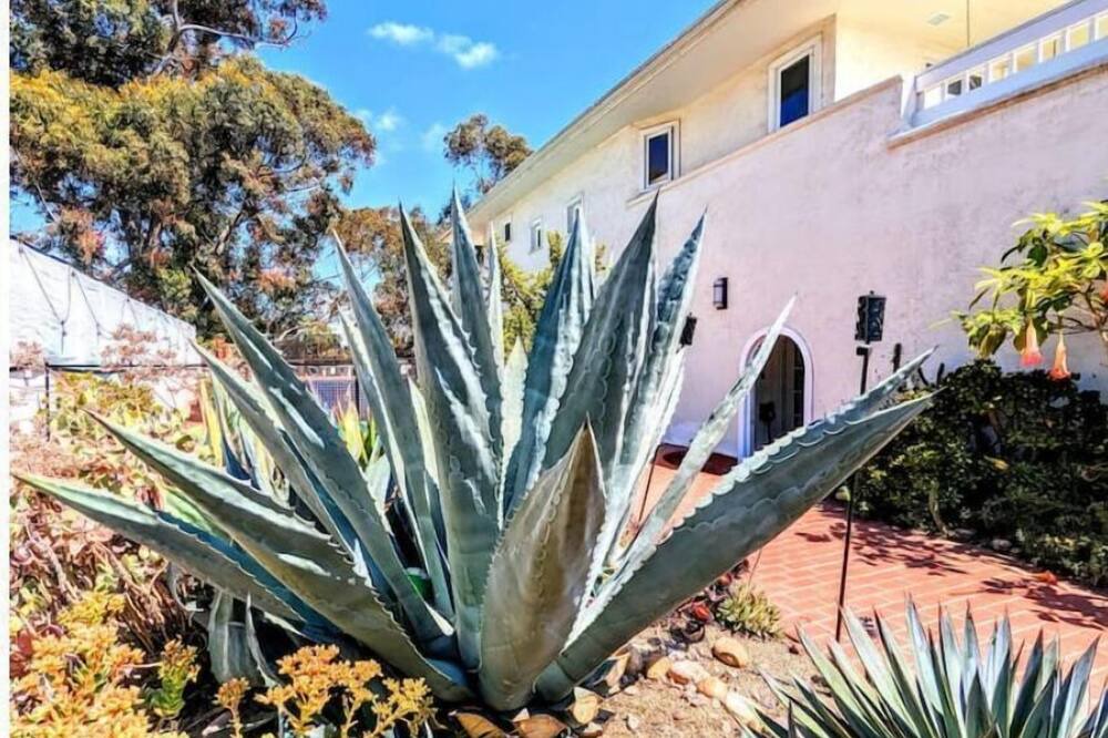 Photo of Outdoor in University Heights