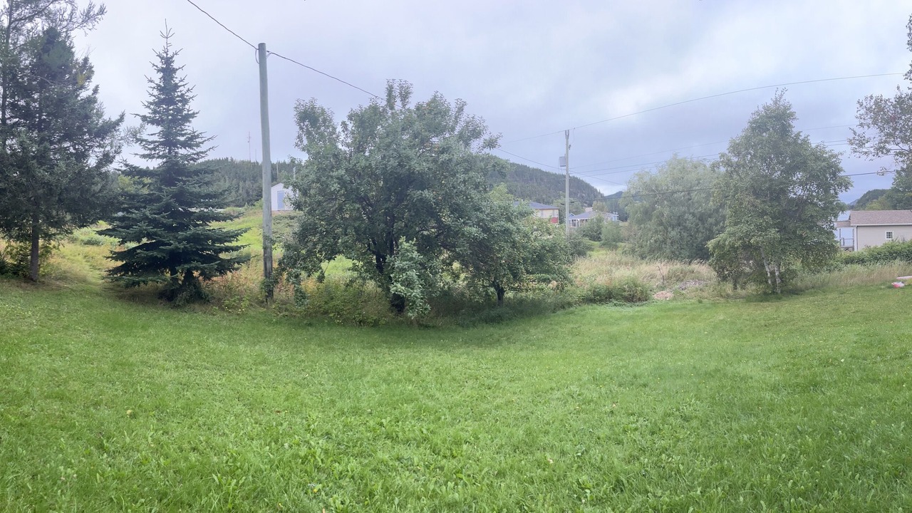 Photo of Others in Tilt Cove