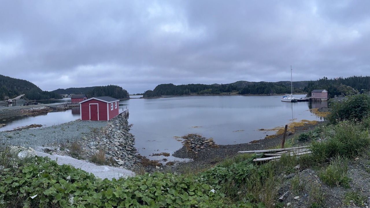 Photo of Outdoor in Tilt Cove