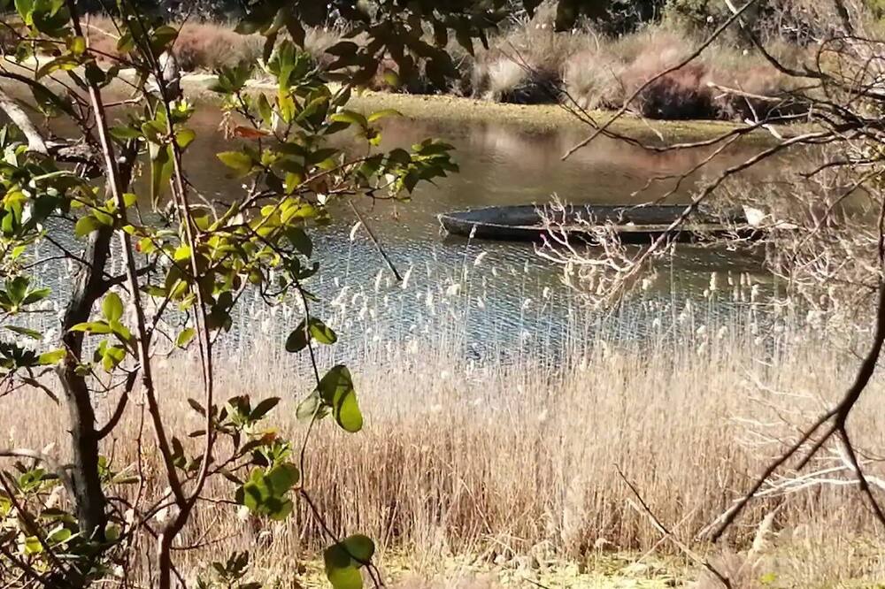 Photo of Others in Ghisonaccia