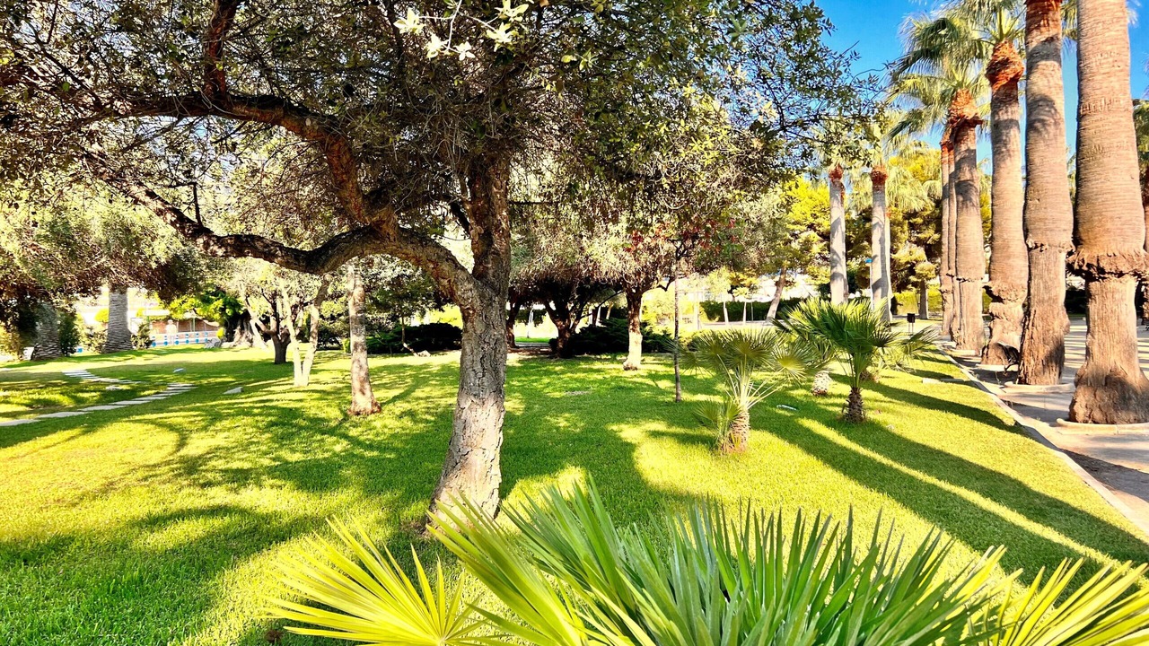 Photo of Outdoor in Moraira Town Centre
