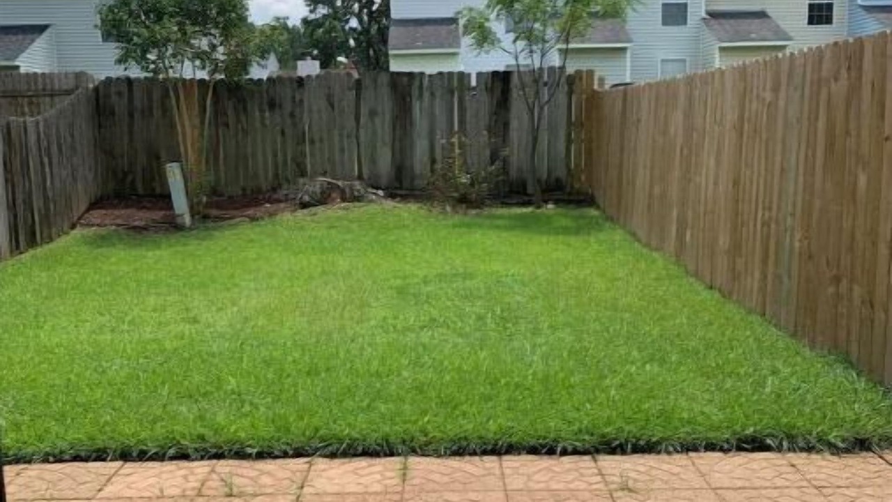 Photo of Outdoor in Claiborne