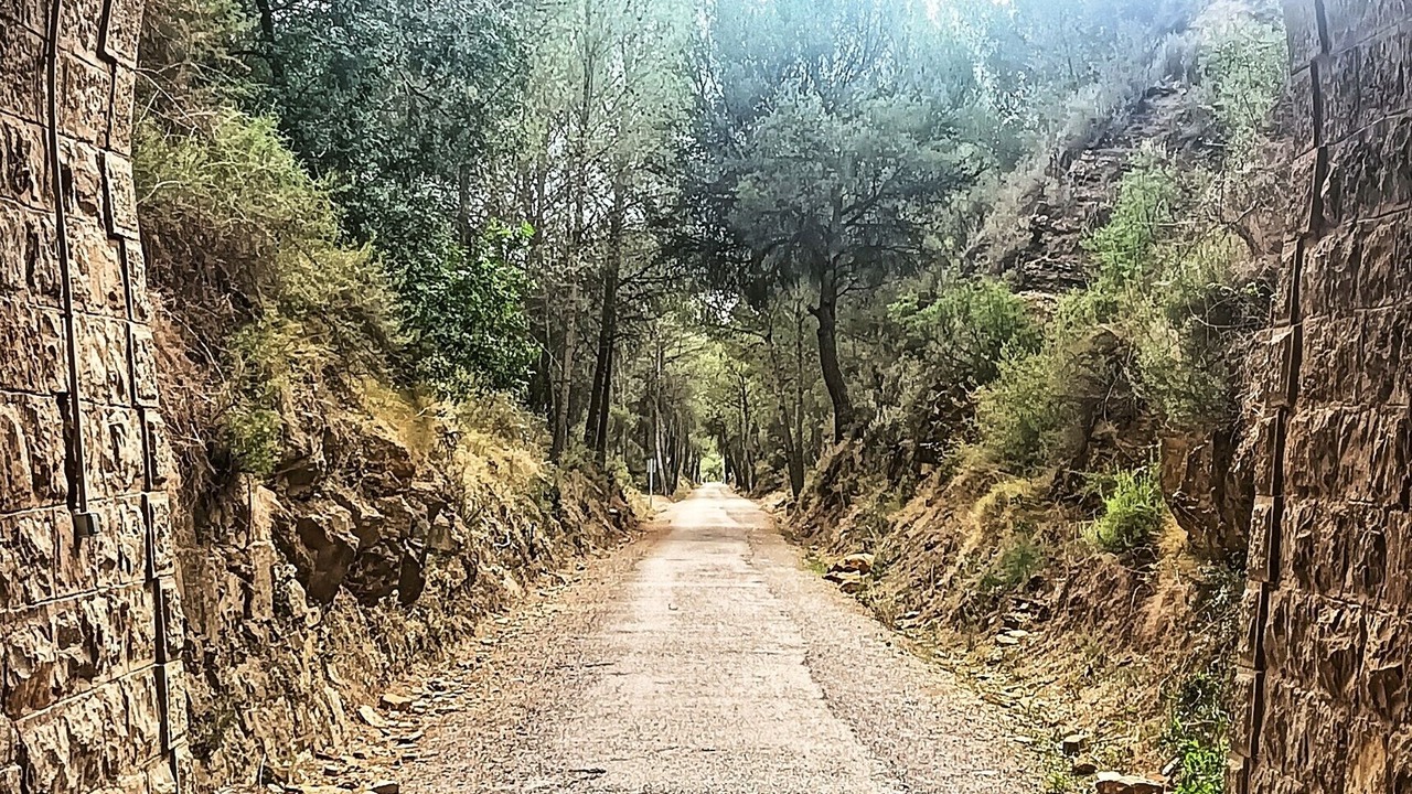 Photo of Outdoor in Navajas