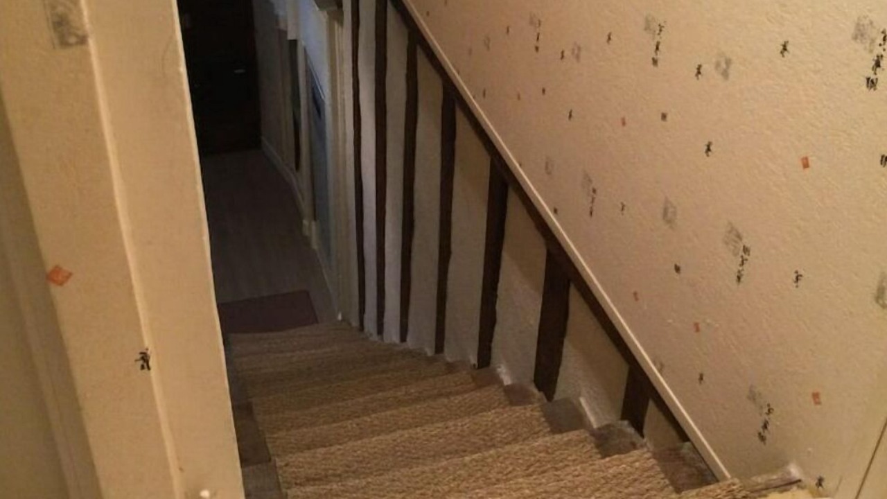 Photo of Others in Dournazac