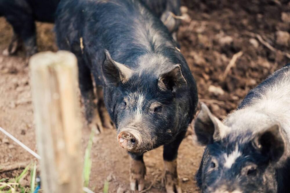 Photo of Others in Crediton