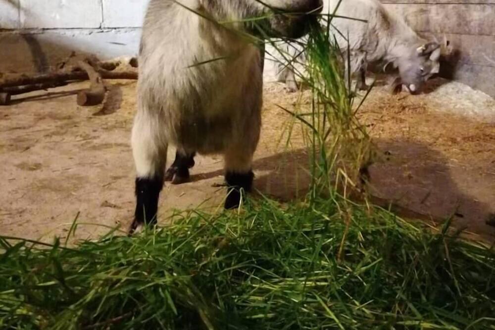 Photo of Others in Crediton